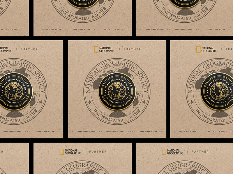 Pin Packaging Idea geography world typography pin logo illustration brandidentity icon globe design branding badge