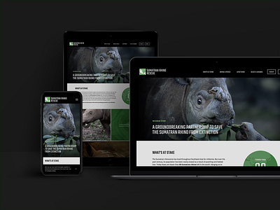 Sumatran Rhino Rescue Relaunch brand design geography interaction mobile planet responsive rhino squarespace ui ux website wildlife