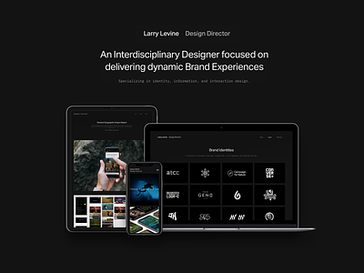 larrylevine.co - Portfolio Site Launch branding design identity logo mobile portfolio portfolio design squarespace typography ui ux web website