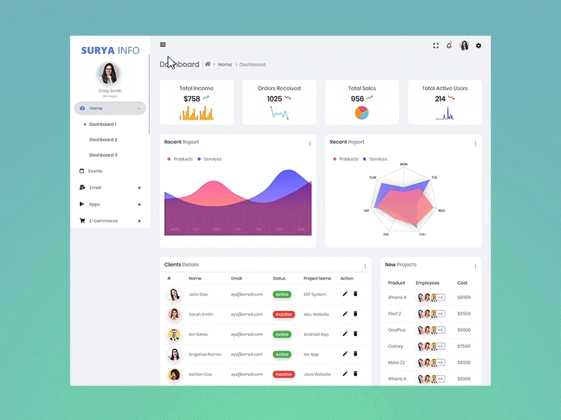 Web Application Admin Dashboard Design animation design illustration ux web