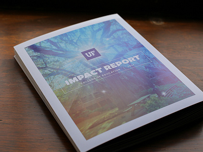 2017 UF College of Education Impact Report brochure impact report uf university of florida