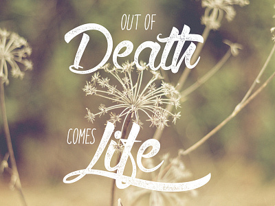 Life from Death wallpaper