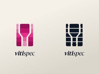 VitiSpec 2010 brand branding design icon logo