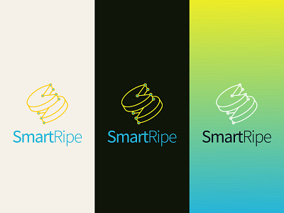 SmartRipe 2013 brand branding design icon logo