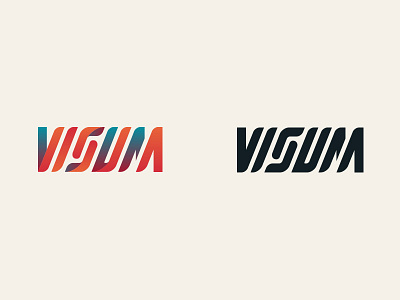 Visum1 2018 brand logo