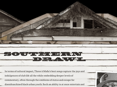 Southern Drawl illustration mmhof texture type
