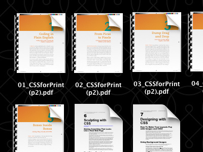 Chapters of PDFs and Word Docs desktop icons personal writing