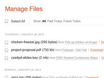 Manage Files app filter form design helvetica orange teamlist ux