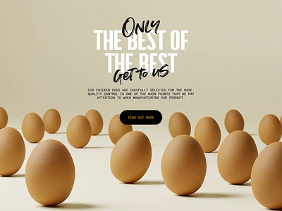 Egg Products Website animation cooking design ecommerce eggs food graphic design interaction design interface motion graphics ui user experience ux ux design web web design web layout web marketing web page website