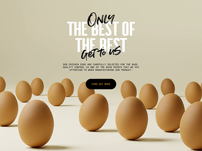 Egg Products Website animation cooking design ecommerce eggs food graphic design interaction design interface motion graphics ui user experience ux ux design web web design web layout web marketing web page website
