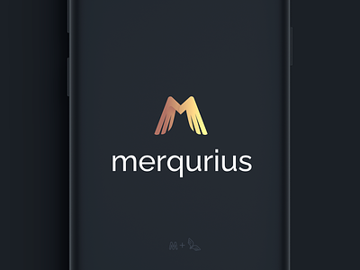 Logo Merqurius