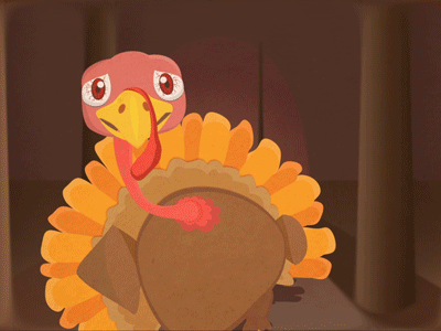Thanksgiving is Coming 2d animal animated animation character design fall forest graphics illustration motion november run running thanksgiving turkey woods
