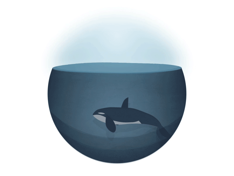 Orca Life 2d animated animation character design graphics motion ocean orca style swim waves whale whales