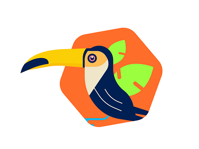 Toucan Bird bird bird illustration design flat illustration minimal nature vector