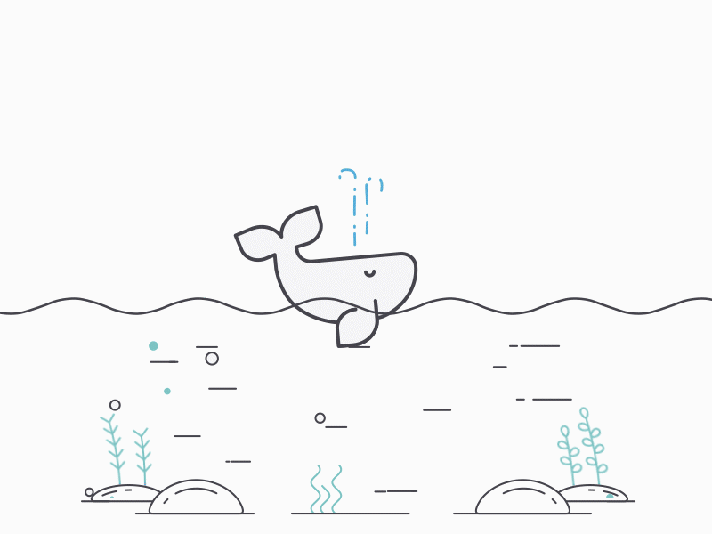 Whale animation animation 2d motiongraphic
