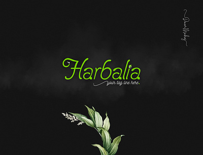 Harbalia Natural Logo Design branding design logo logo design typography typography logo vector