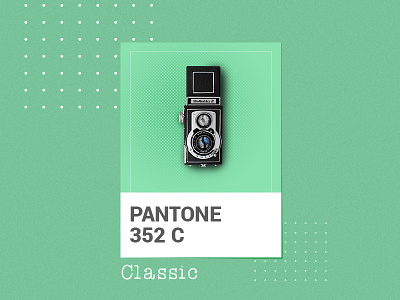 Pantone 352 C camera design graphic design identity logo a day monochrome photoshop shots