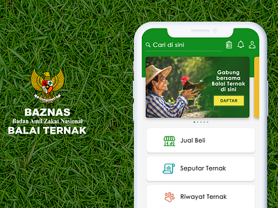 balai ternak app mobile app ui ux