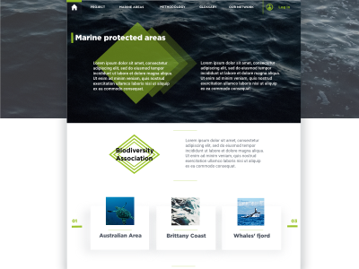 Marine areas protection clean ui ux website