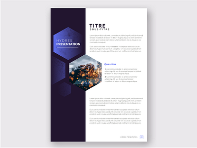 Project presentation template