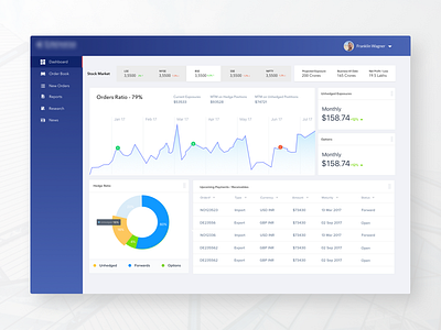 Financial Dashboard dashboard sketch ui