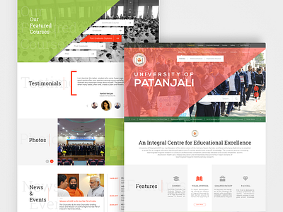 Patanjali Website Redesign icons illustrator typography ui web