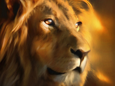 King of Savannah animal debut illustration lion