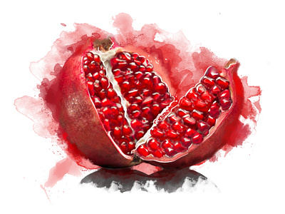 Pomegranate illustration photoshop psd watercolor