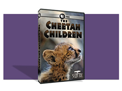 Nature DVD – Cheetah Children