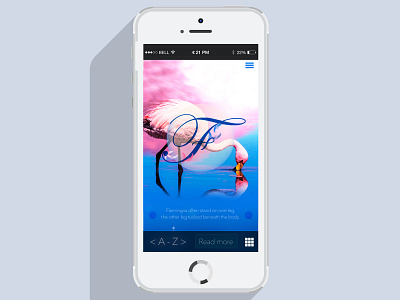 Flamingo Animal Kingdom app design flamingo information interface iphone user