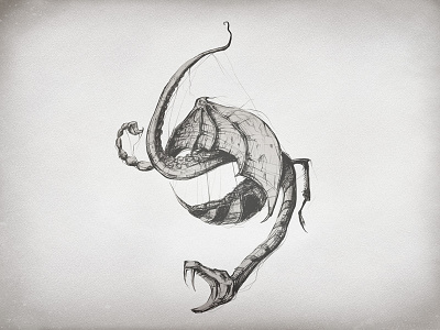 illusign art bee dragon drawing illusign illustration octopus painting skorpion snake