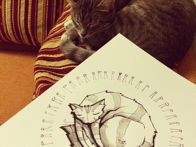 prrr acrylic art cat drawing graphic illusign illustration ink painting prrr sleep sweetdreams