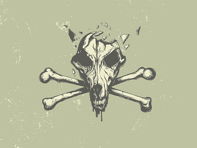 Dog Skull anatomy animal bone dog illustration isolated mouth nature skeleton skull vector wolf