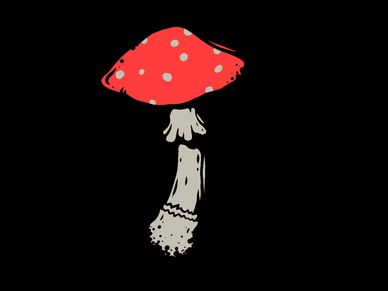 Reddit independent mushroomart GIF - Find on GIFER