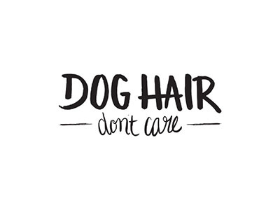 Dog Hair, Don't Care dog hair hand handwritten type