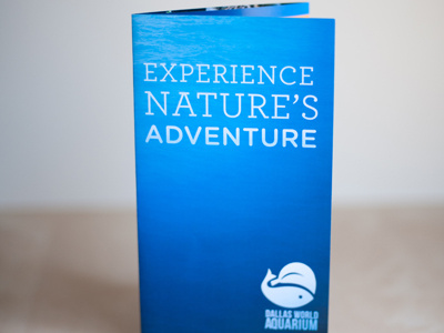Dallas World Aquarium aquarium ocean fish brochure