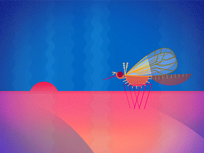 Mosquitos 2d adobe aftereffects animation flat design gif loop motion motion graphics