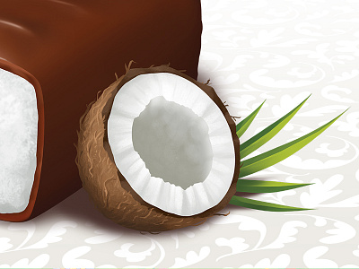 Coconut coconut design digital food illustration package painting