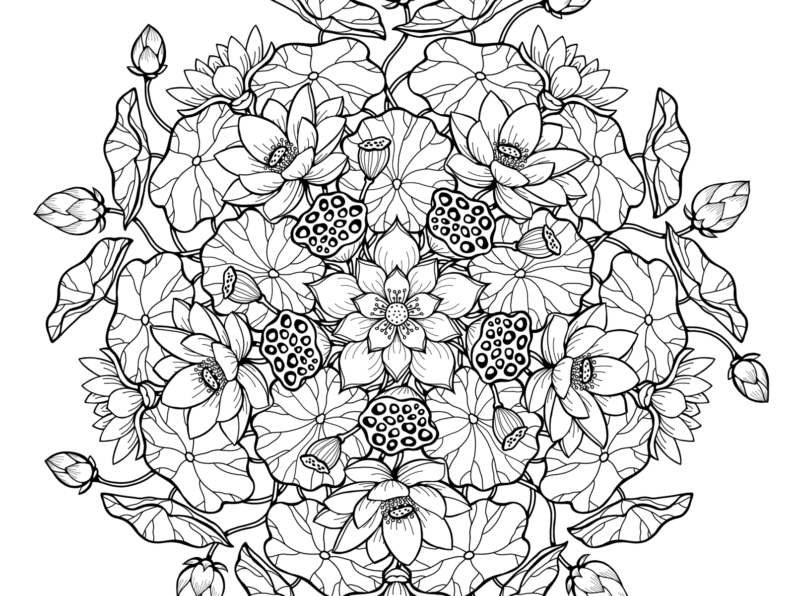 Lotus Mandala by Katerina Pushkina on Dribbble