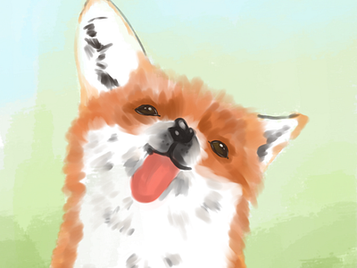 Fox love