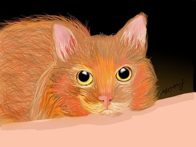 "Gato" cats digital art illustration