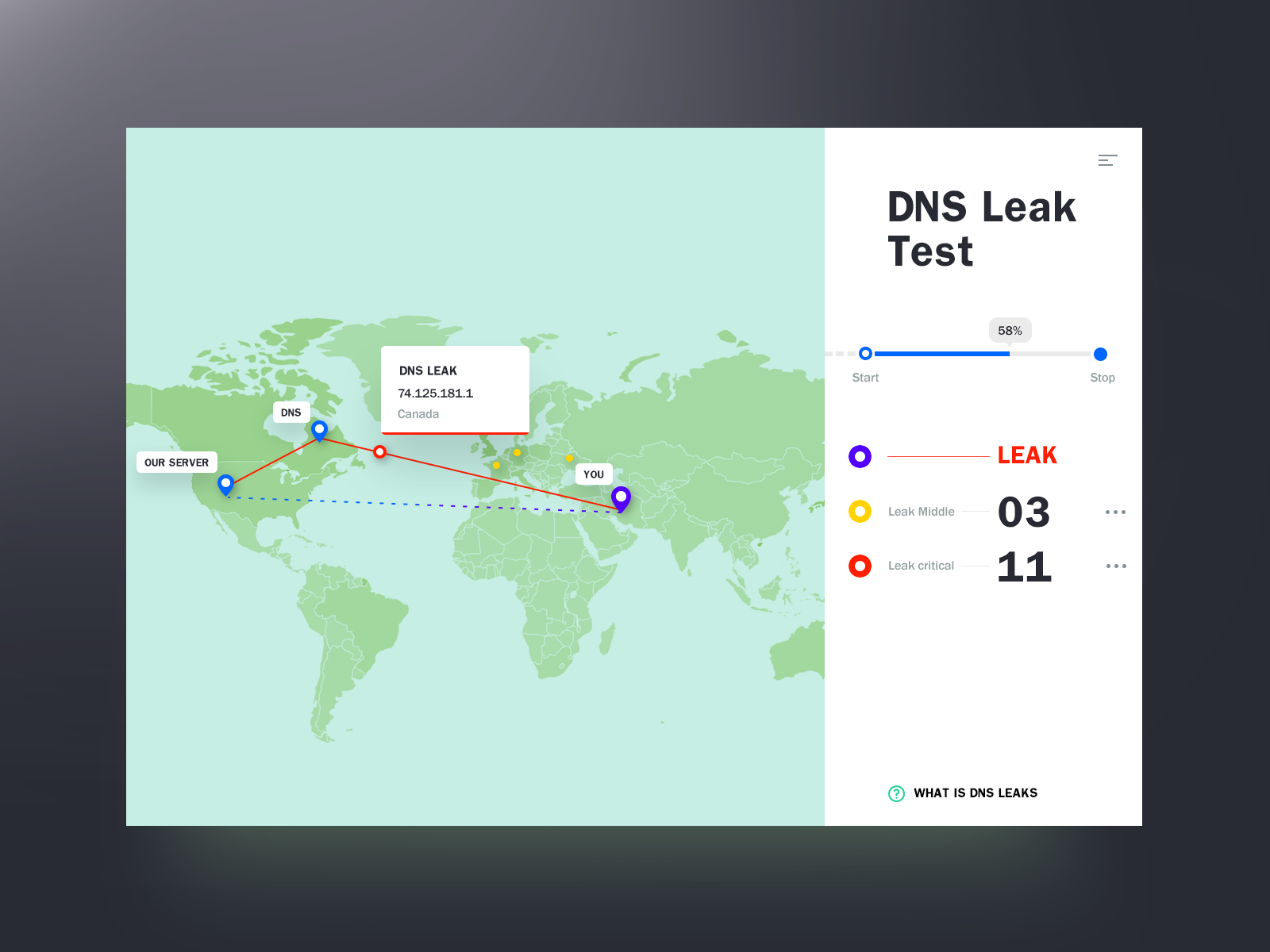Interface Dns Leak Test by Alexandr Bilchenko on Dribbble