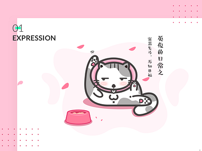 Cuty Kitty Expression branding design