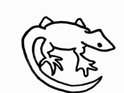 lizard drawing template