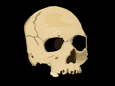 Skull Painted skull