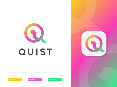 Quist Logo bird bird logo branding colorful fly gradient identity logo design logotype mark