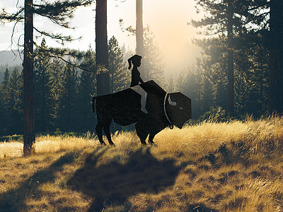 Girl and The Bison (Logo + Real Image Combination Experiment)
