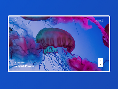 Oceanarium cover cover oceanarium ui ui ux design