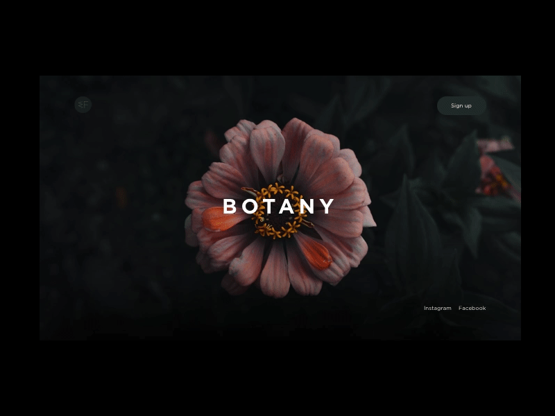 Botanical Garden animation botanic cover dark flower principleapp ui ui ux ux webdesign