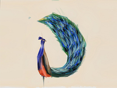 Peacock conceptart illustration mobile paperapp